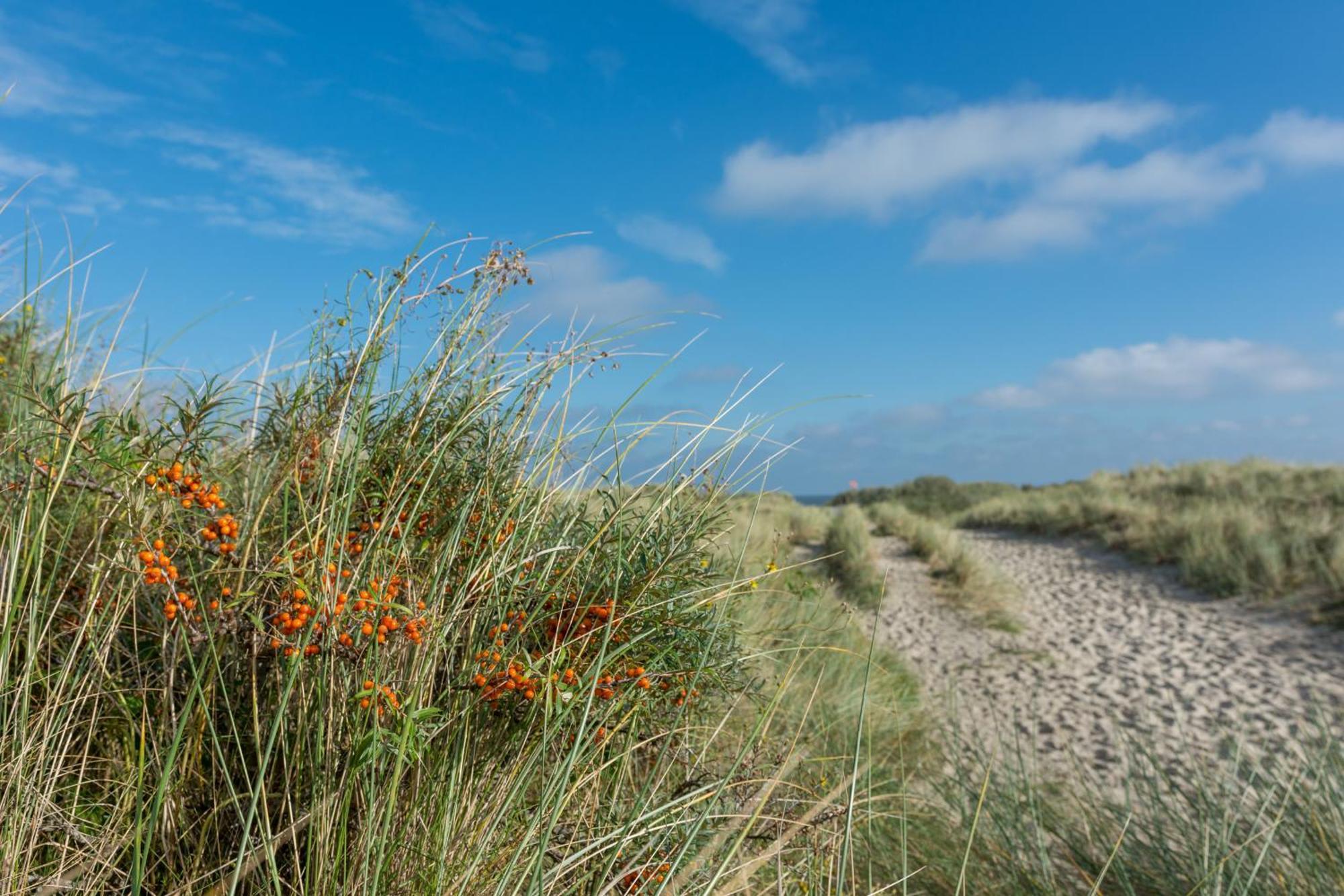 Deichblick Suederloog 38 Villa Spiekeroog Eksteriør billede